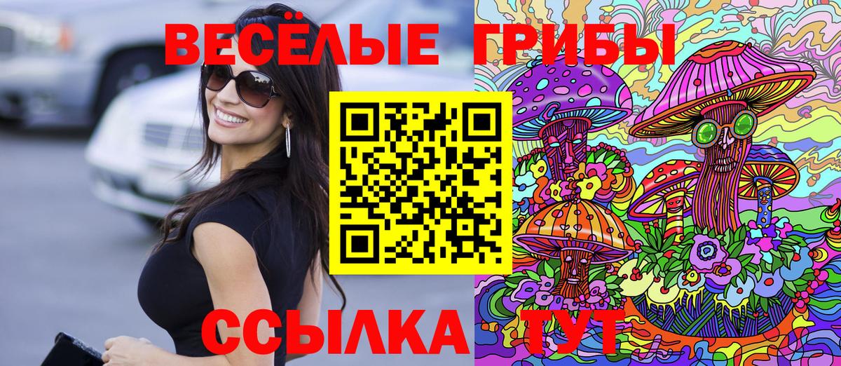 Псилоцибиновые грибы прущие грибы  Вход с VPN  Ессентуки 