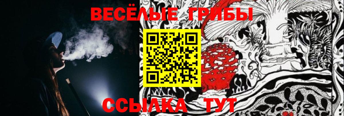 Псилоцибиновые грибы ЛСД Ессентуки